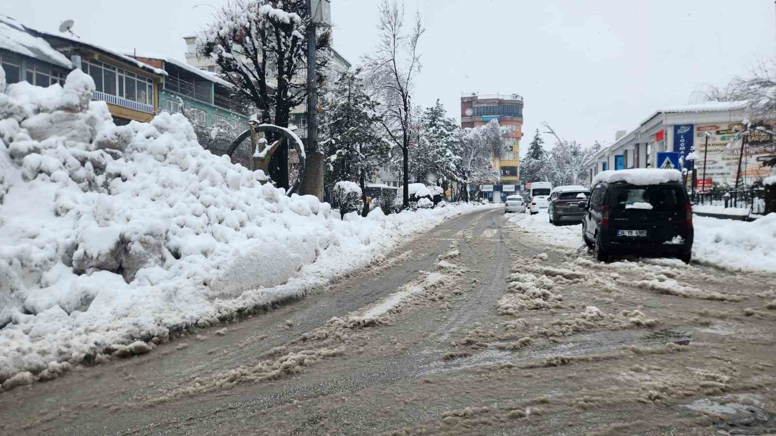 Tunceli’de yoğun kar yağışı etkili oldu
