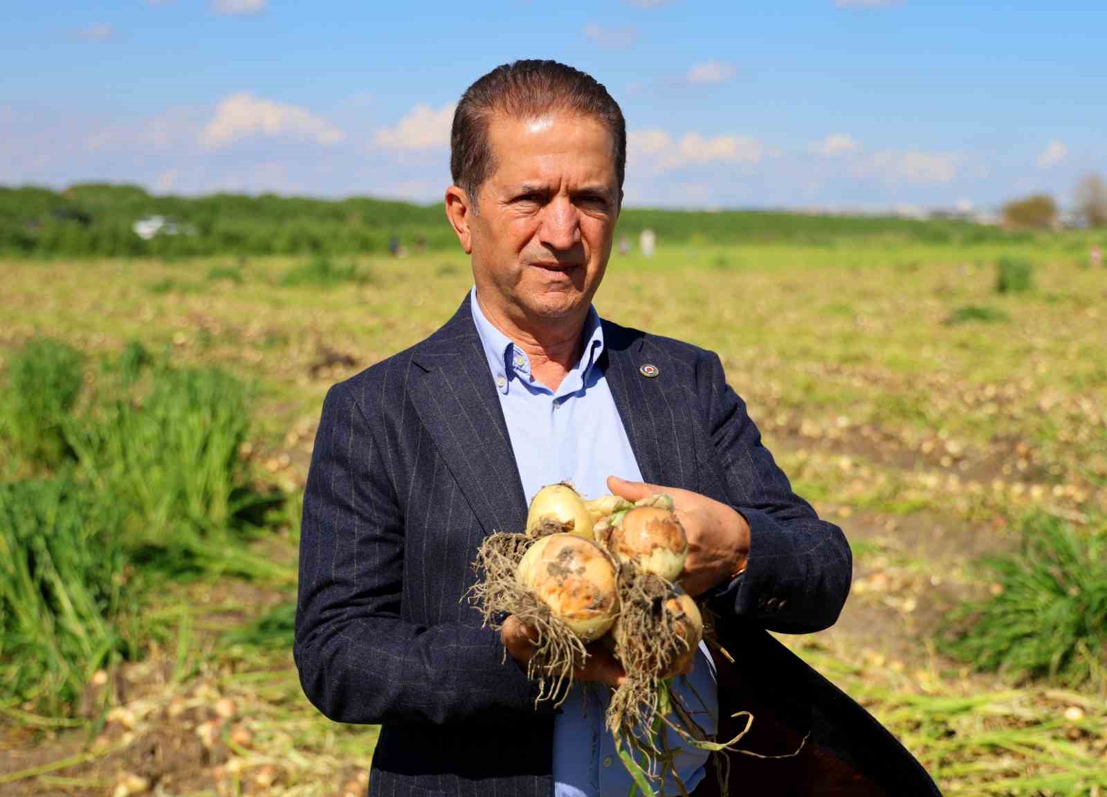 Turfanda soğanda hasat başladı, fiyatı arz-talep belirleyecek
