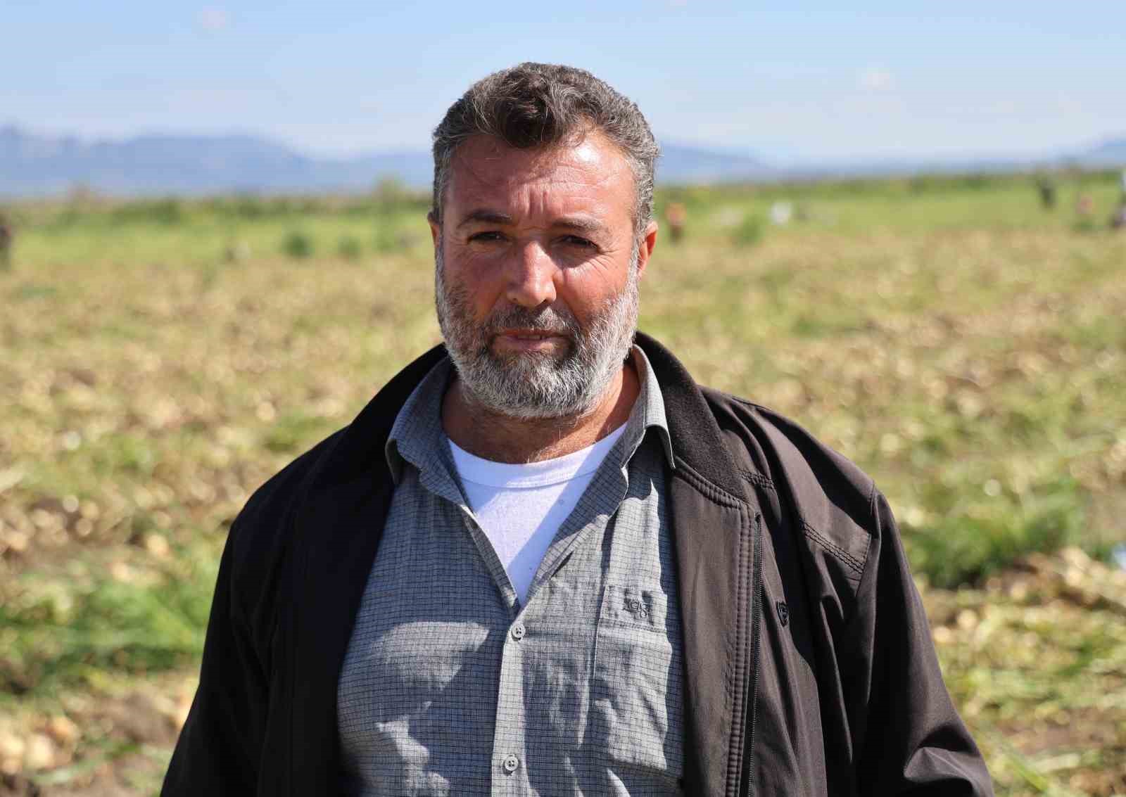 Turfanda soğanda hasat başladı, fiyatı arz-talep belirleyecek
