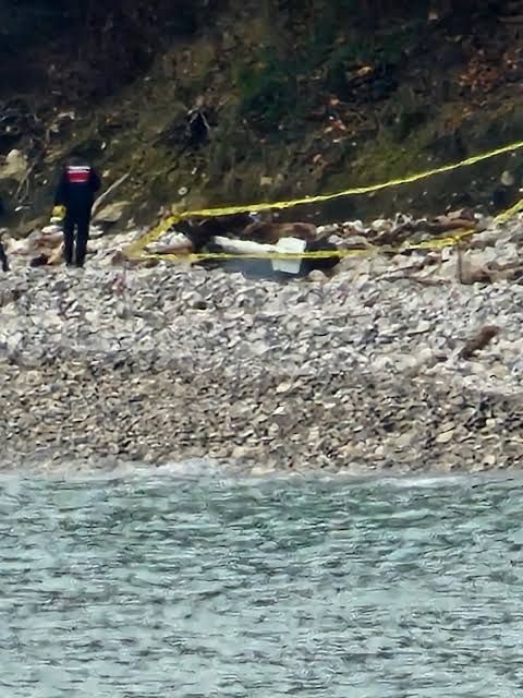 Türkeli’de kıyıya vuran şüpheli cisim korkuttu
