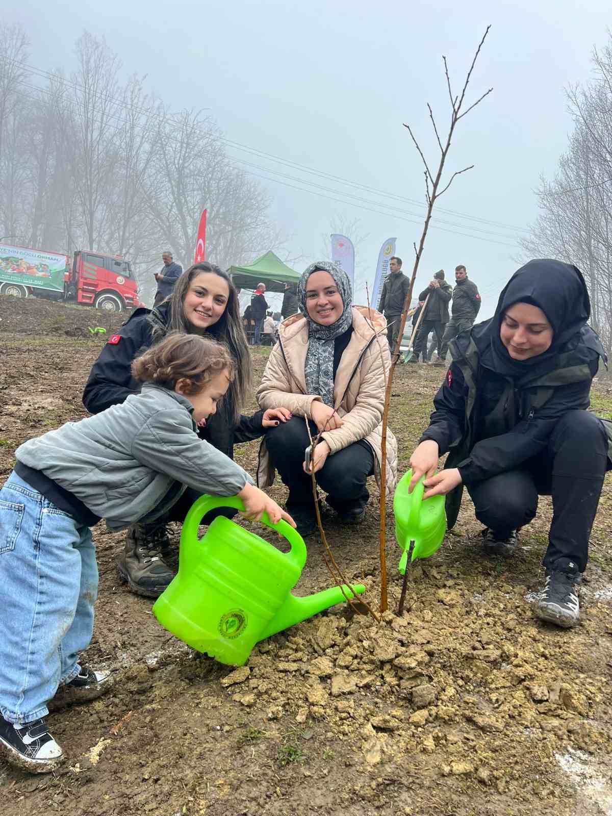 Türkeli’de yüzlerce fidan toprakla buluştu
