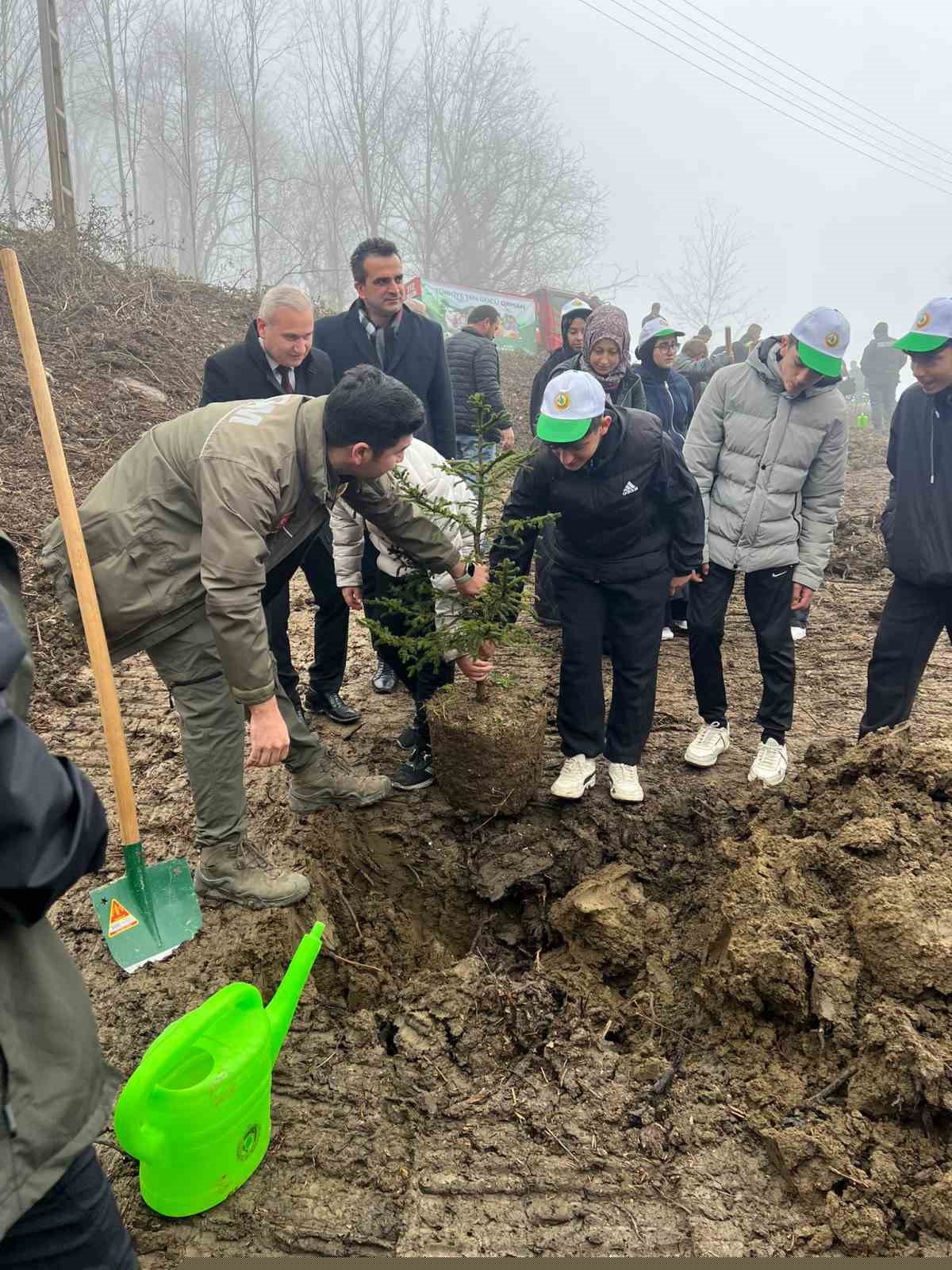 Türkeli’de yüzlerce fidan toprakla buluştu
