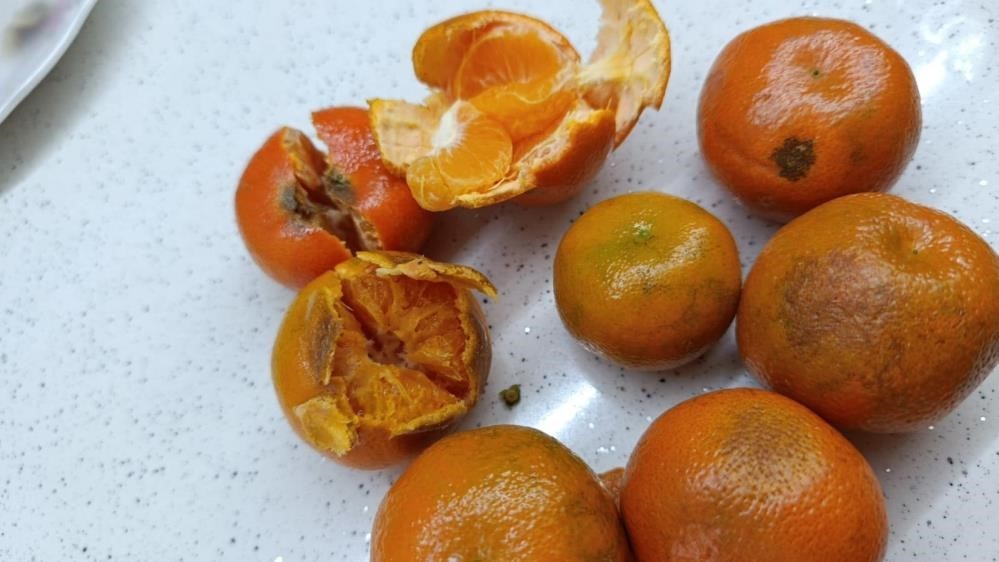 Türkiye, gıdada kişi başına kayıpta ABD ve Avrupa’nın önünde
