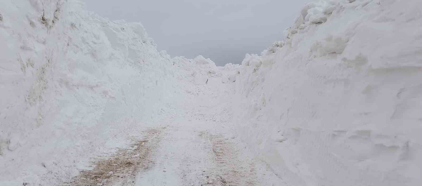 Türkiye-İran sınır hattında karla mücadele çalışması

