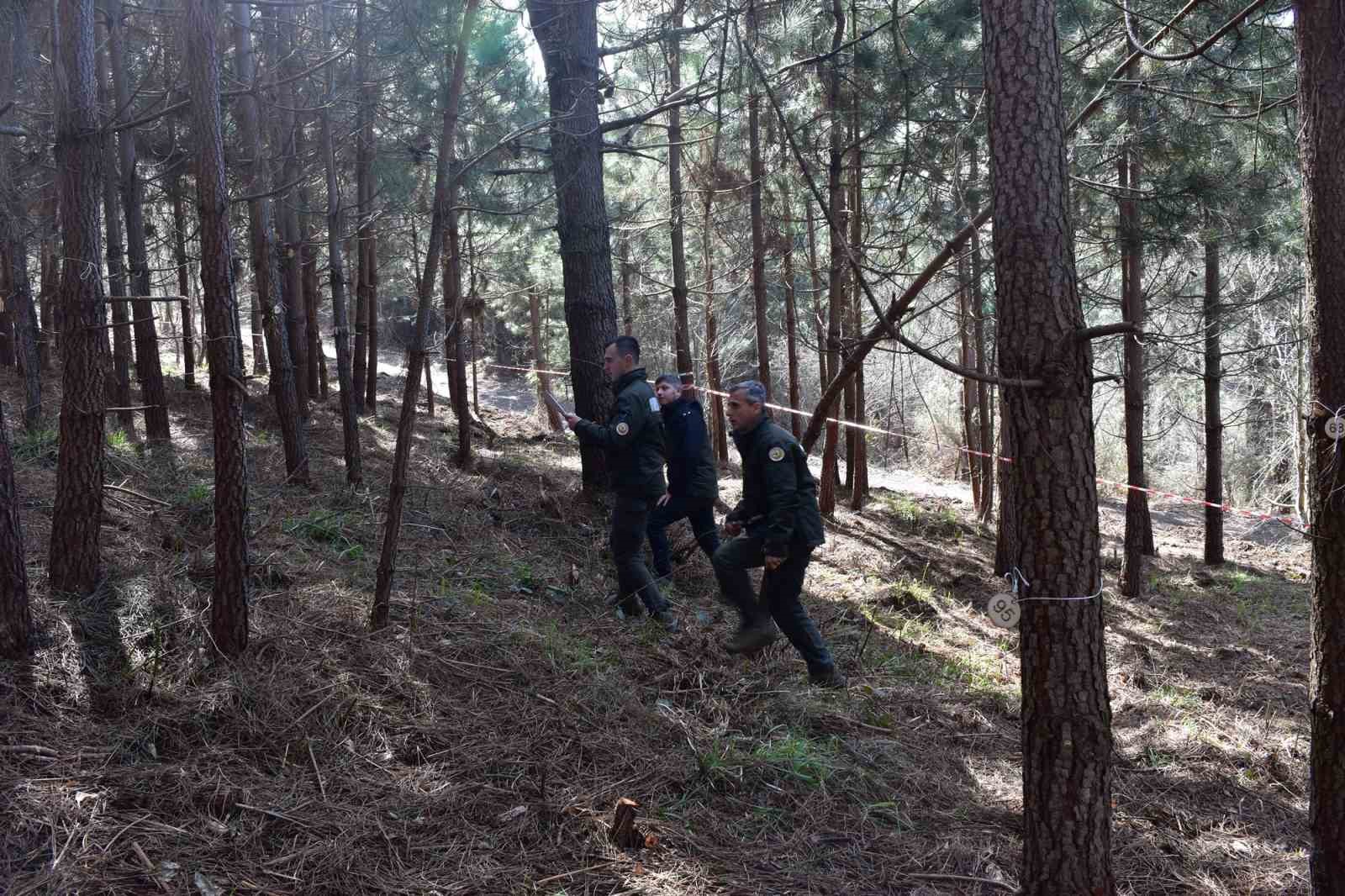 Türkiye Ormancılık Oyunları Trabzon’da başladı
