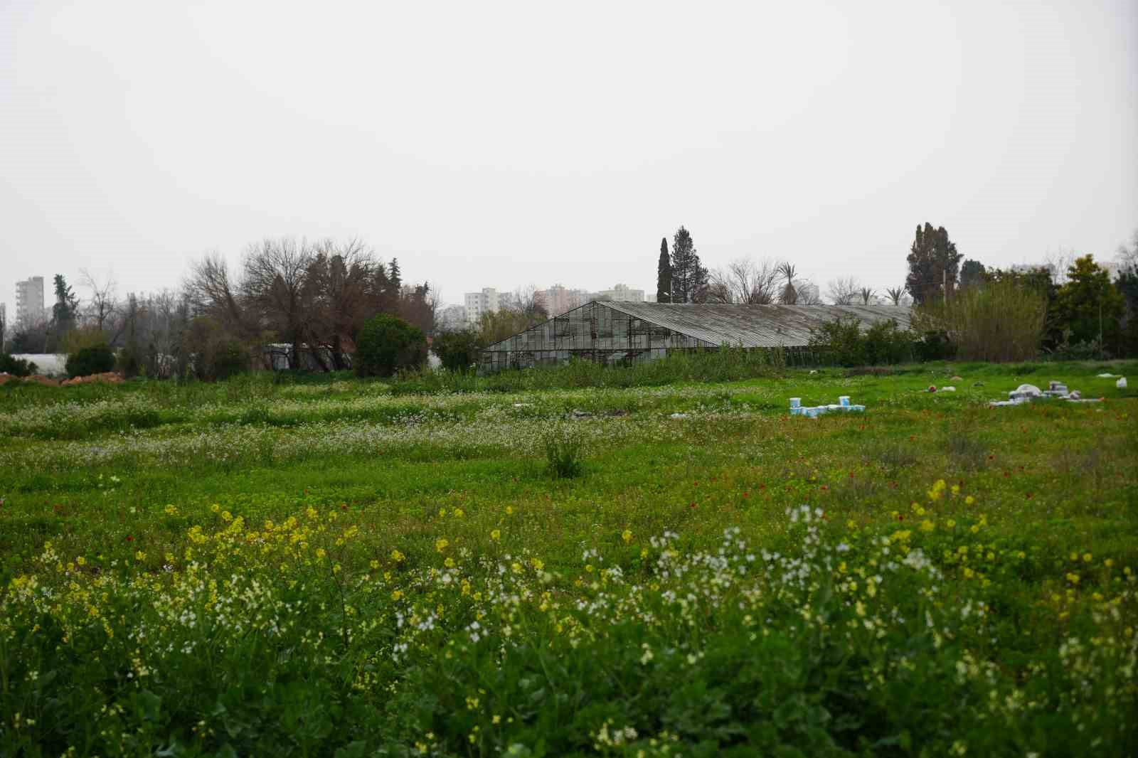 Türkiye son 20 yılda, Antalya’dan büyük tarım alanını kaybetti
