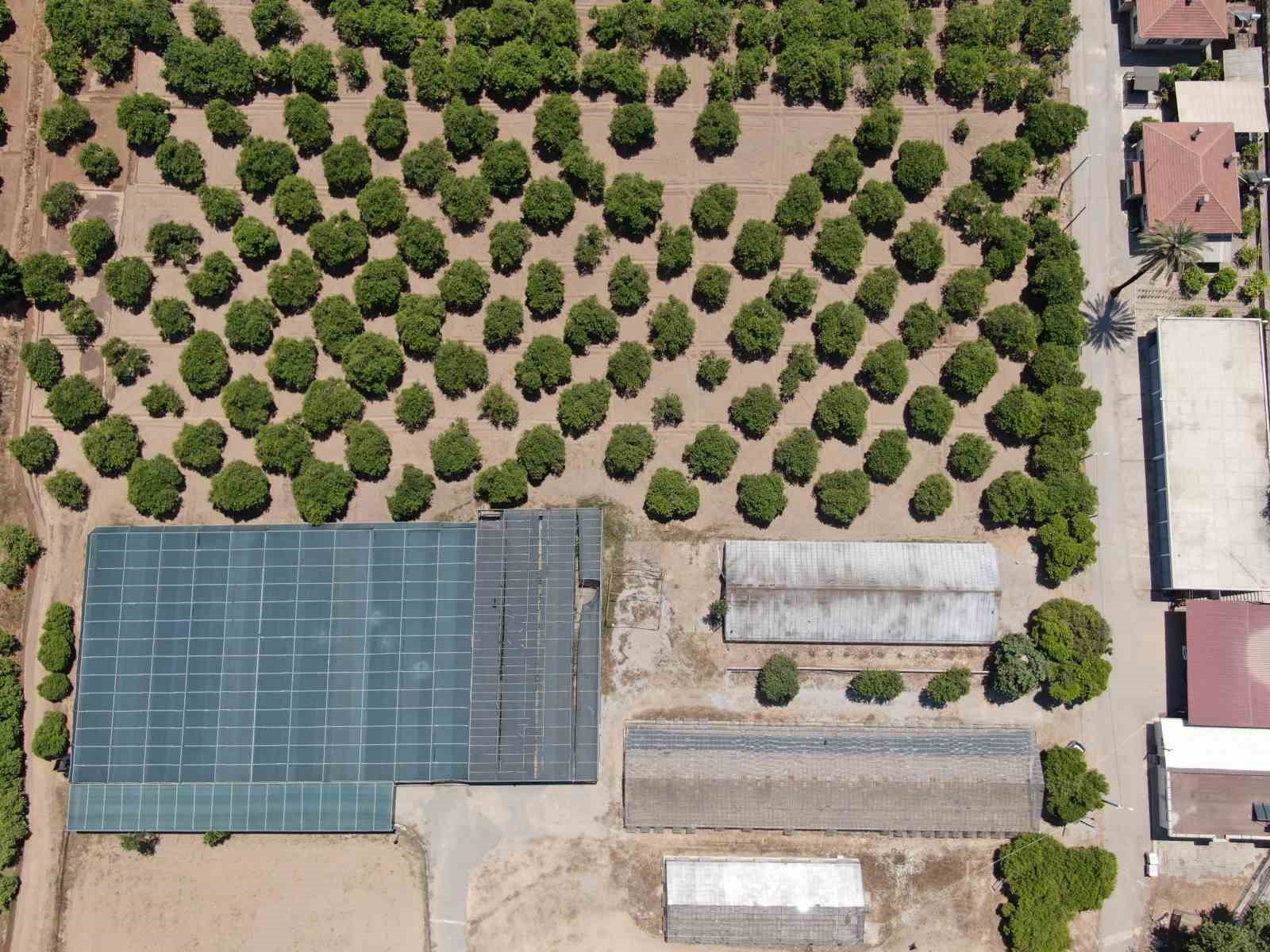 Türkiye son 20 yılda, Antalya’dan büyük tarım alanını kaybetti
