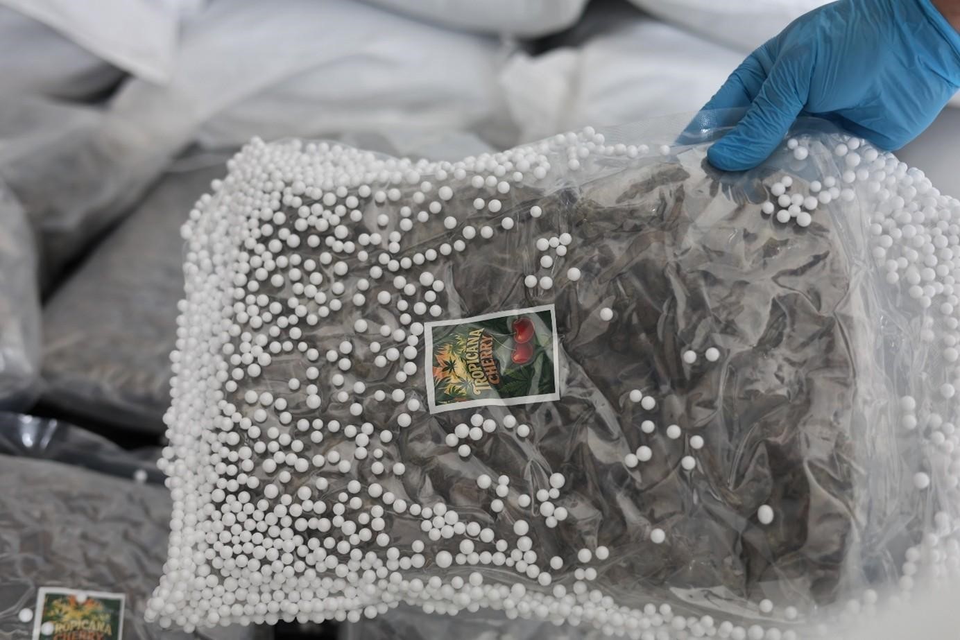 Türkiye ve Suriye’den ortak uyuşturucu operasyonu
