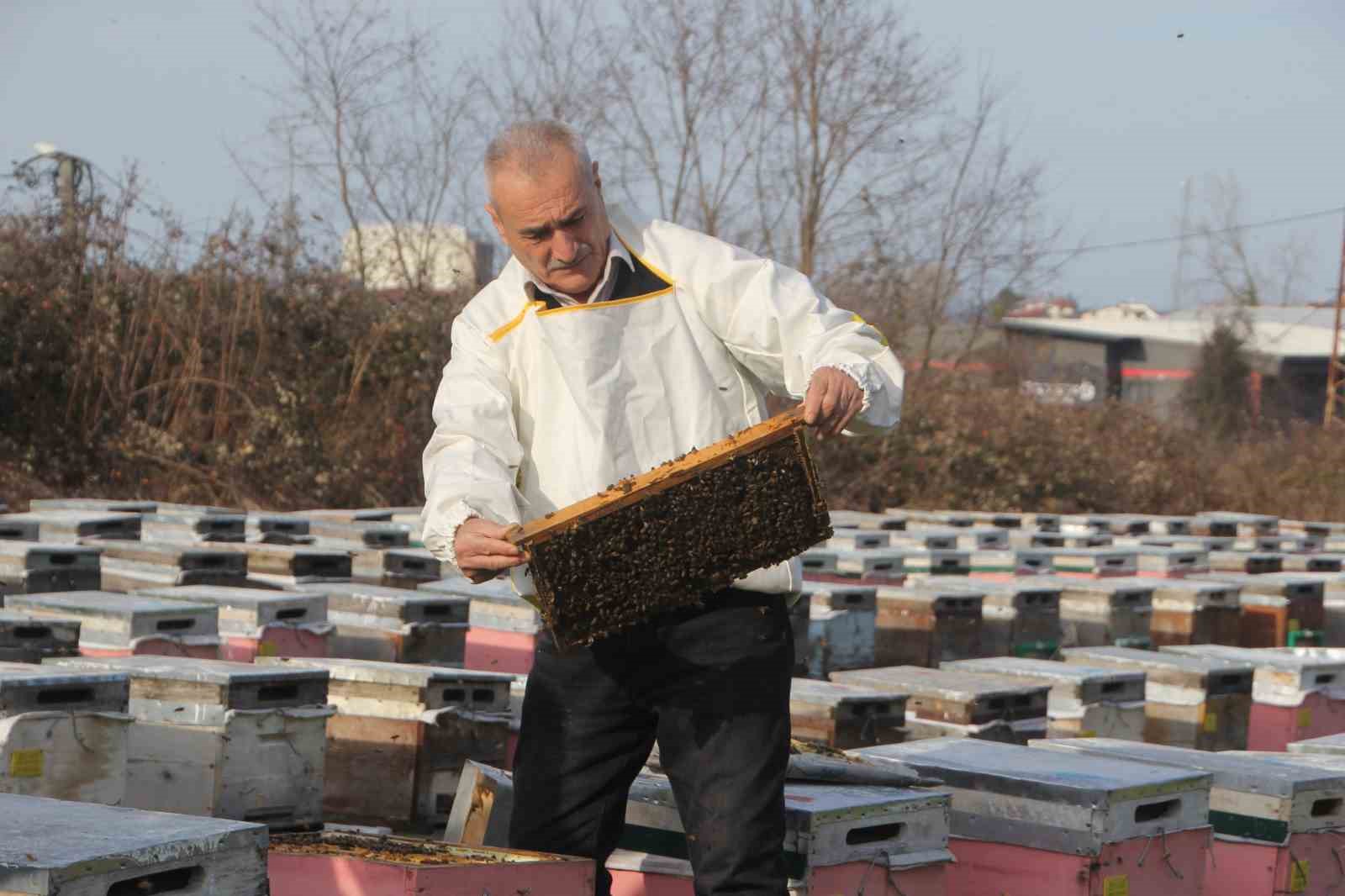 Türkiye’de en fazla bal üretiminin yapıldığı Ordu’da arıcılar sezona hazırlanıyor
