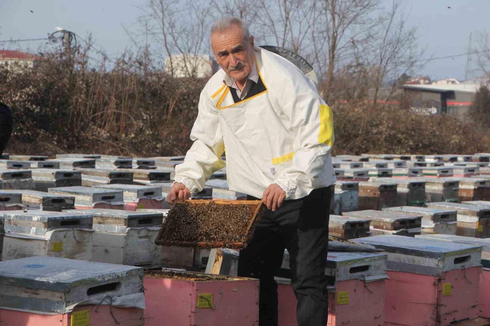 Türkiye’de en fazla bal üretiminin yapıldığı Ordu’da arıcılar sezona hazırlanıyor
