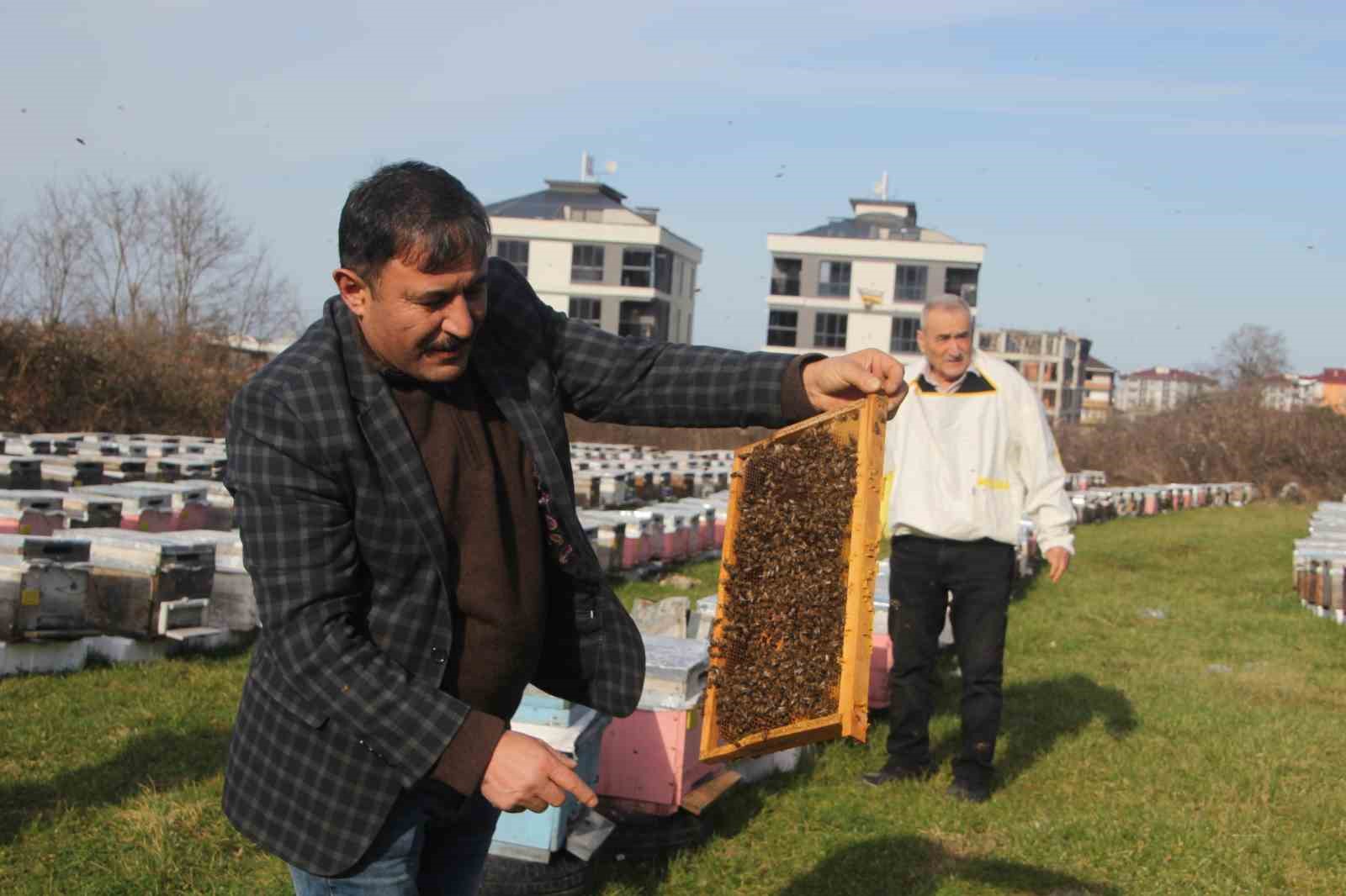 Türkiye’de en fazla bal üretiminin yapıldığı Ordu’da arıcılar sezona hazırlanıyor
