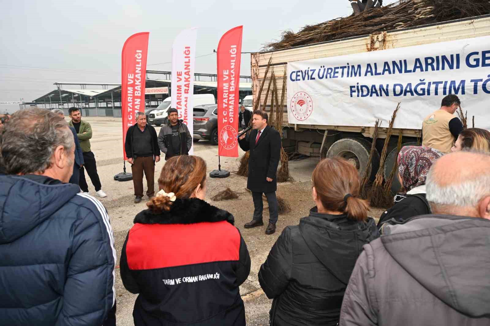 Türkiye’nin ceviz başkenti Denizli’de ceviz fidanı dağıtımı başladı
