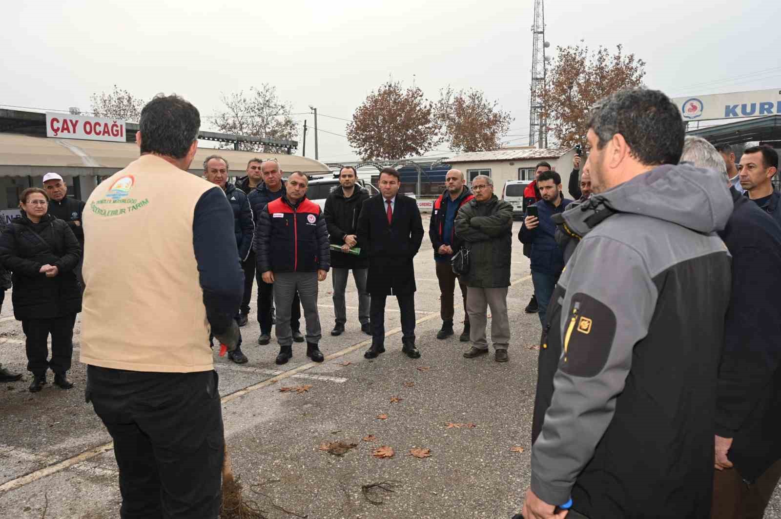 Türkiye’nin ceviz başkenti Denizli’de ceviz fidanı dağıtımı başladı
