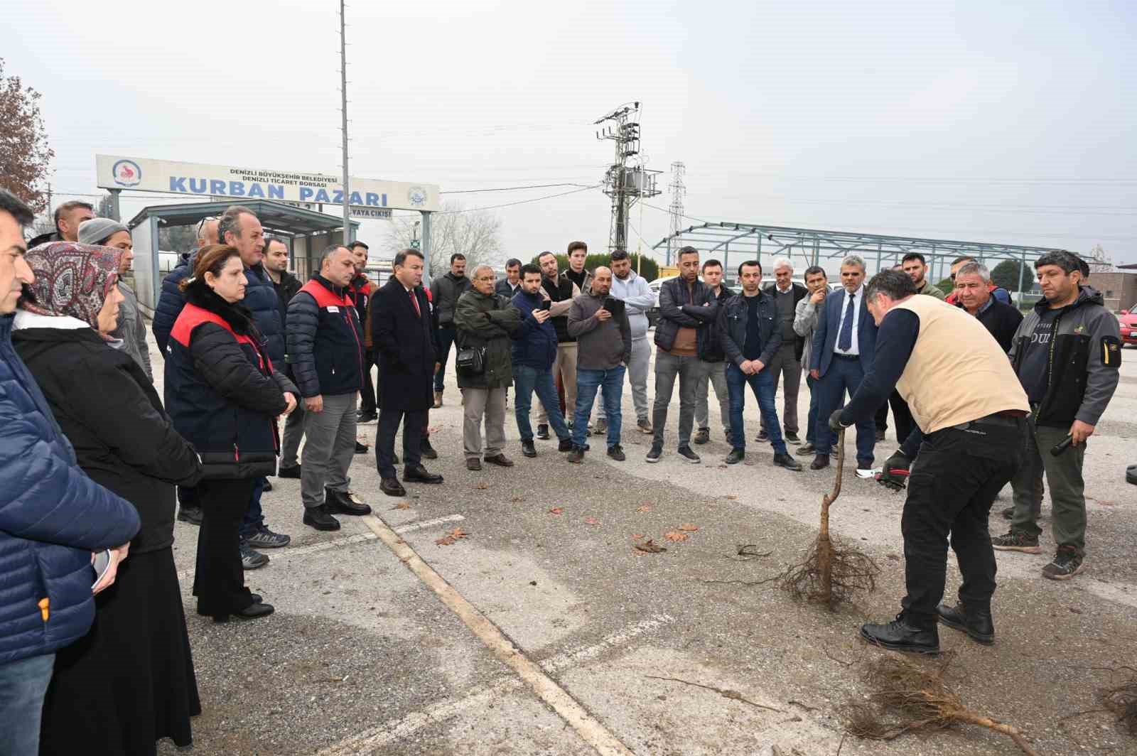 Türkiye’nin ceviz başkenti Denizli’de ceviz fidanı dağıtımı başladı
