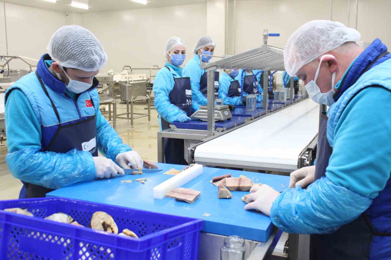 Türkiye’nin ilk coğrafi işaretli su ürünü olan Lakerda’nın üretimi başladı
