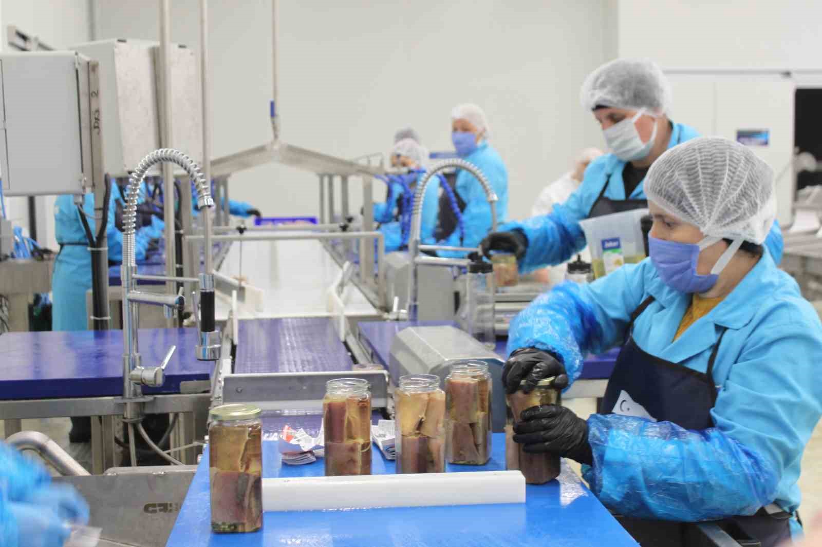 Türkiye’nin ilk coğrafi işaretli su ürünü olan Lakerda’nın üretimi başladı
