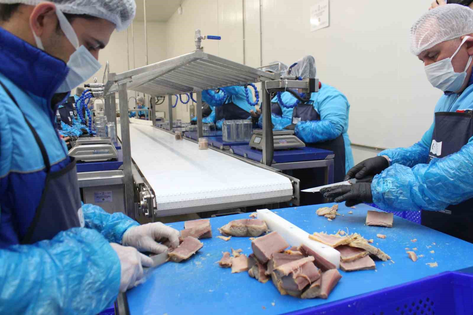 Türkiye’nin ilk coğrafi işaretli su ürünü olan Lakerda’nın üretimi başladı
