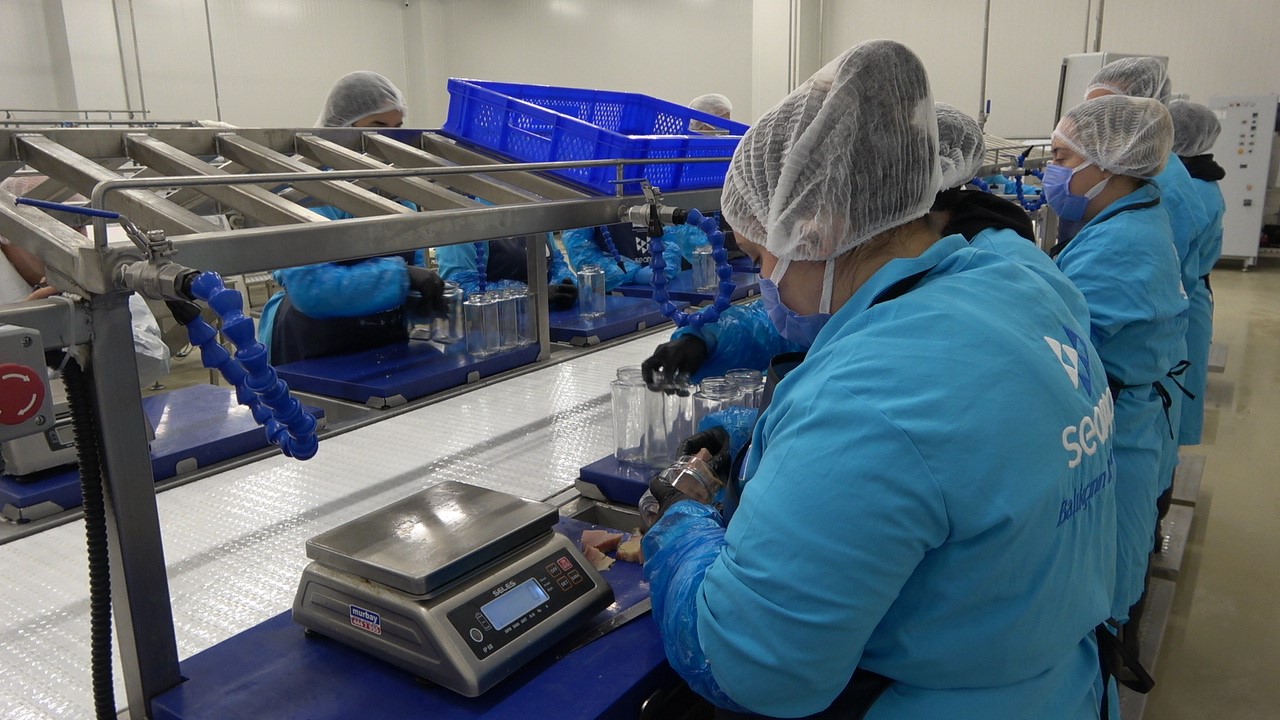 Türkiye’nin ilk coğrafi işaretli su ürünü olan Lakerda’nın üretimi başladı
