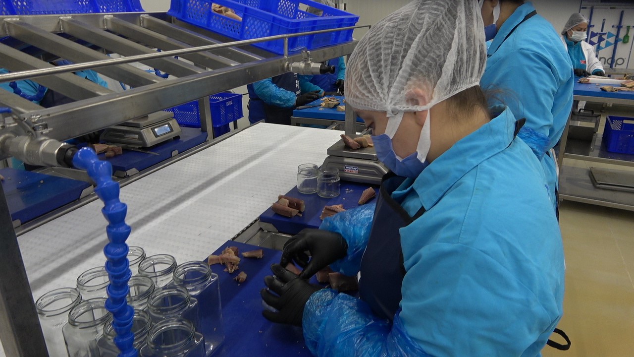 Türkiye’nin ilk coğrafi işaretli su ürünü olan Lakerda’nın üretimi başladı
