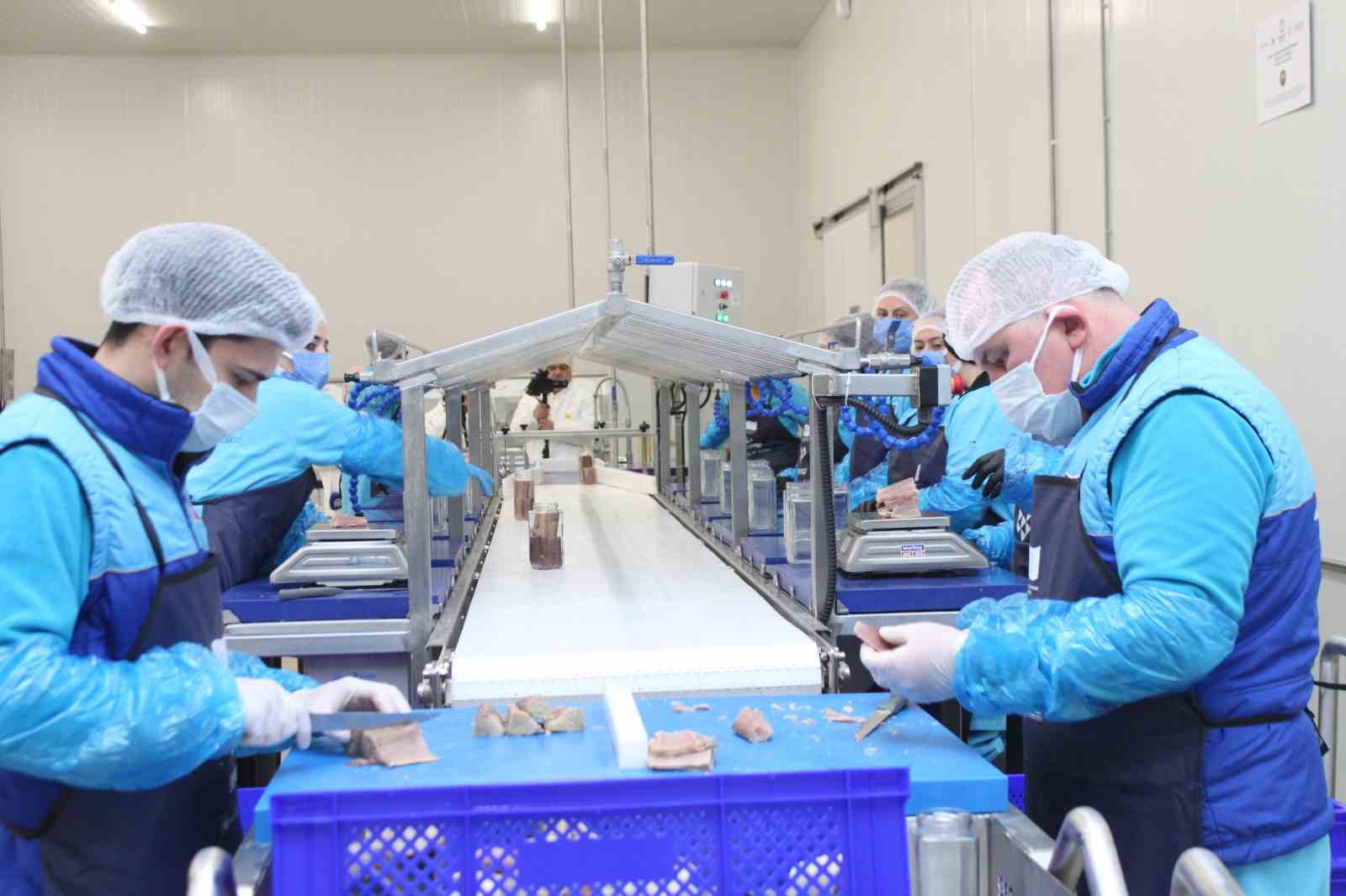 Türkiye’nin ilk coğrafi işaretli su ürünü olan Lakerda’nın üretimi başladı
