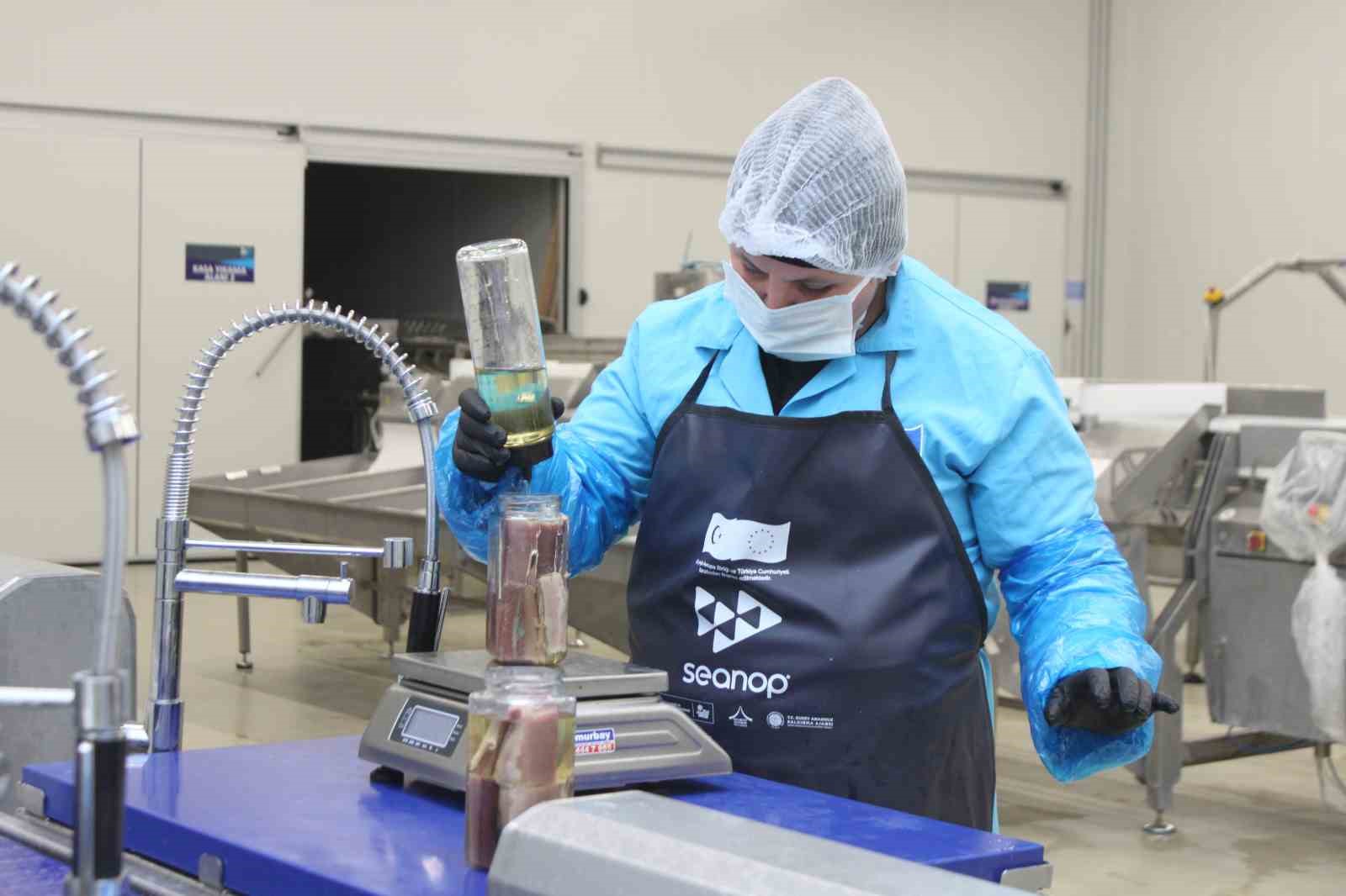 Türkiye’nin ilk coğrafi işaretli su ürünü olan Lakerda’nın üretimi başladı
