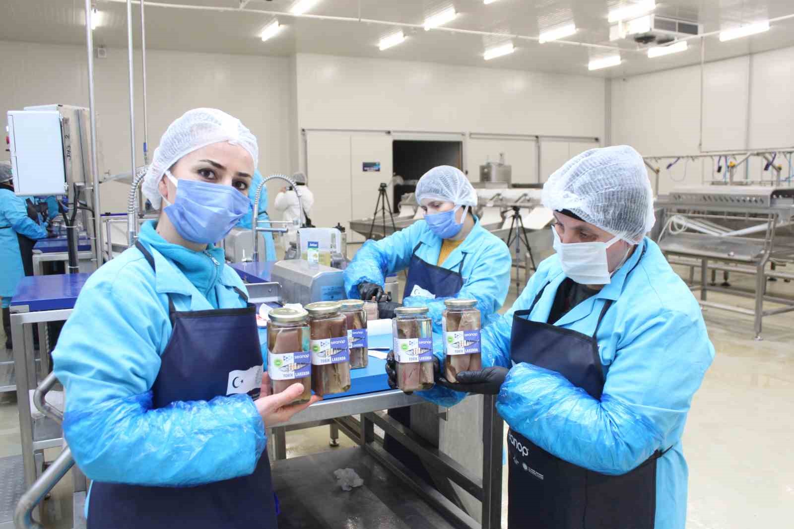 Türkiye’nin ilk coğrafi işaretli su ürünü olan Lakerda’nın üretimi başladı
