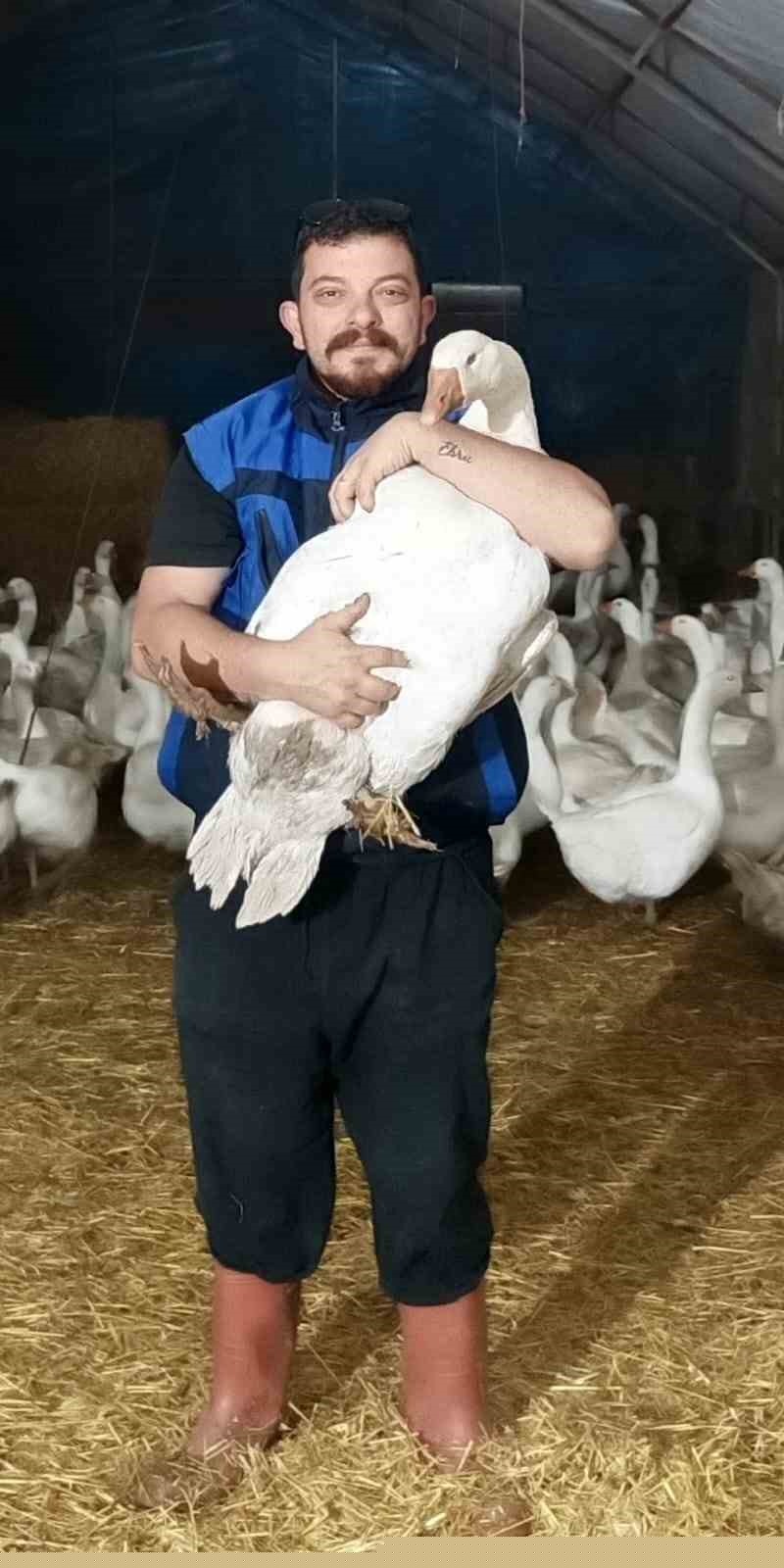 Türkiye’nin ilk kaz kooperatifi Samsun’da kuruldu: Hedef uluslararası pazar
