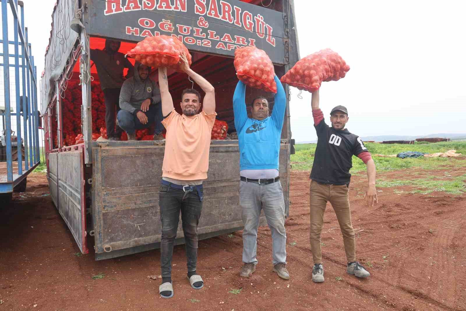 Türkiye’nin Suriye sınırında bereketli soğan hasadı
