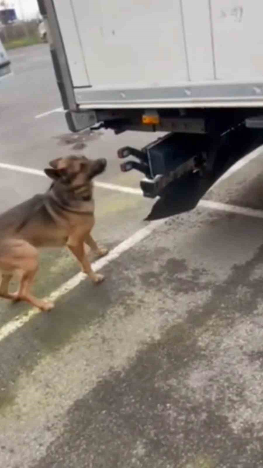 Türkiye’ye sokulmak istenen 11 kilo 180 gram kokain ve 5 kilo altın sınırda yakalandı
