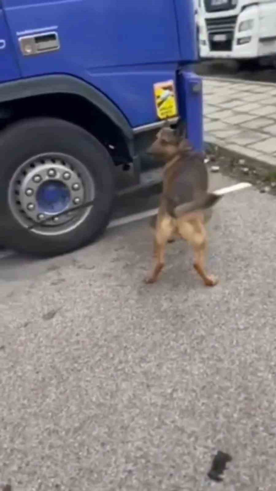 Türkiye’ye sokulmak istenen 11 kilo 180 gram kokain ve 5 kilo altın sınırda yakalandı
