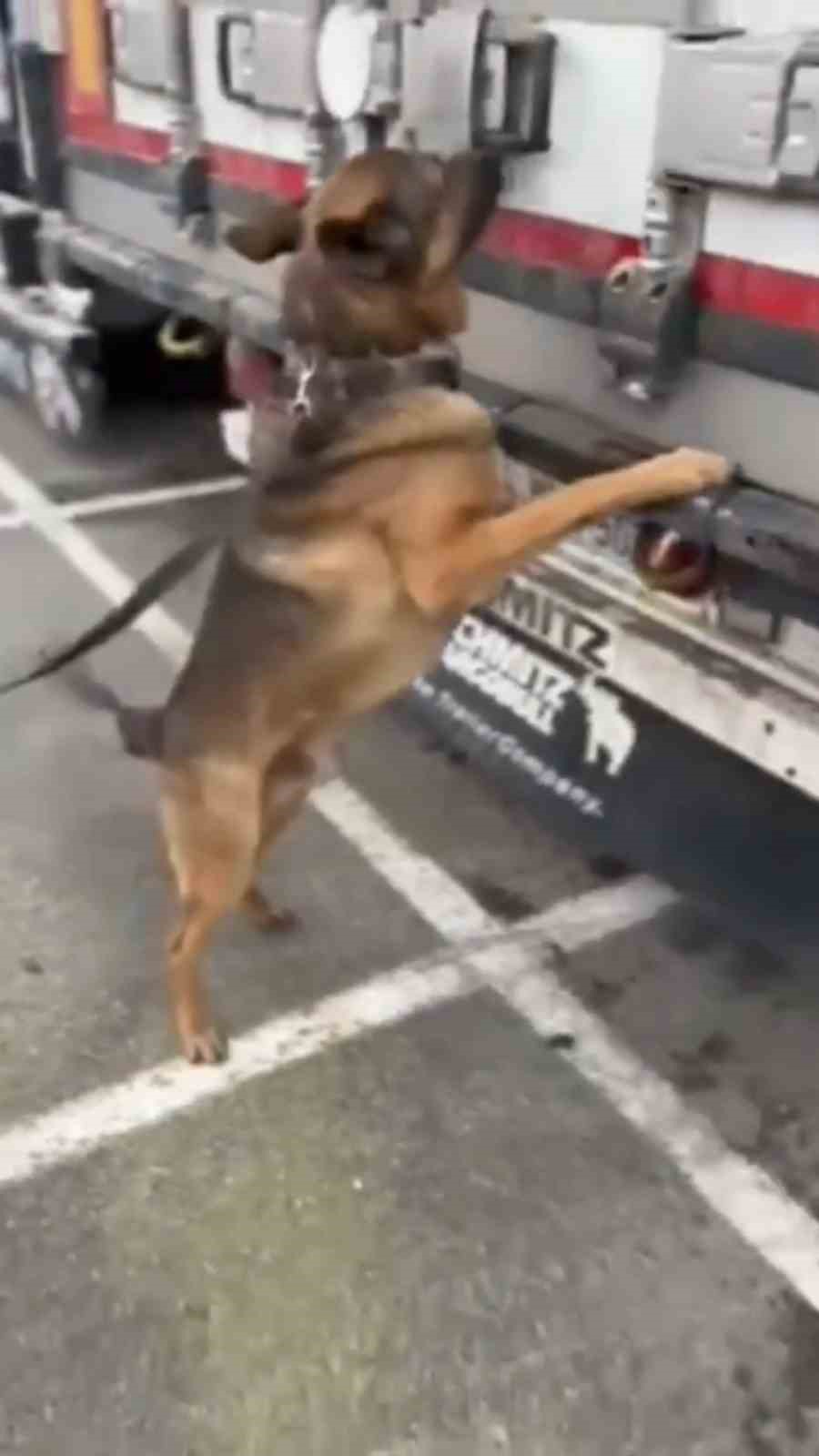 Türkiye’ye sokulmak istenen 11 kilo 180 gram kokain ve 5 kilo altın sınırda yakalandı
