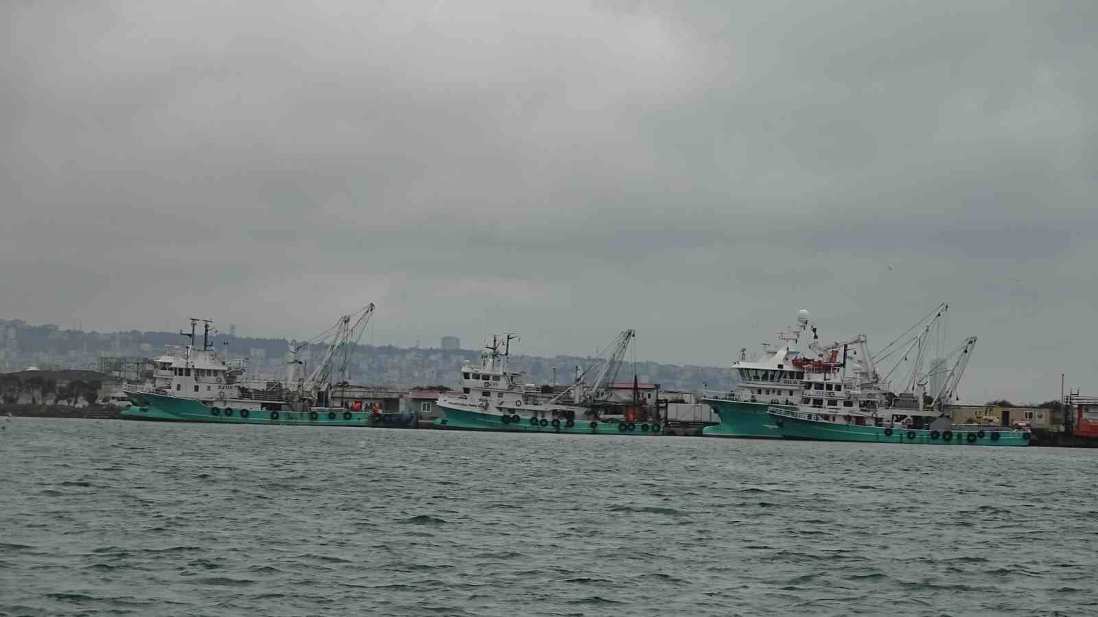 Türkiye’yi terk eden hamsinin yolu gözleniyor
