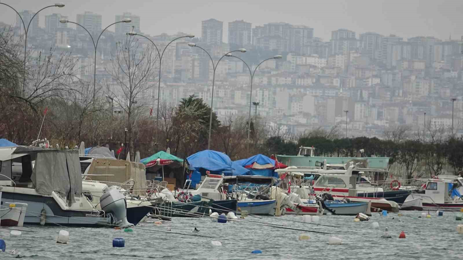 Türkiye’yi terk eden hamsinin yolu gözleniyor
