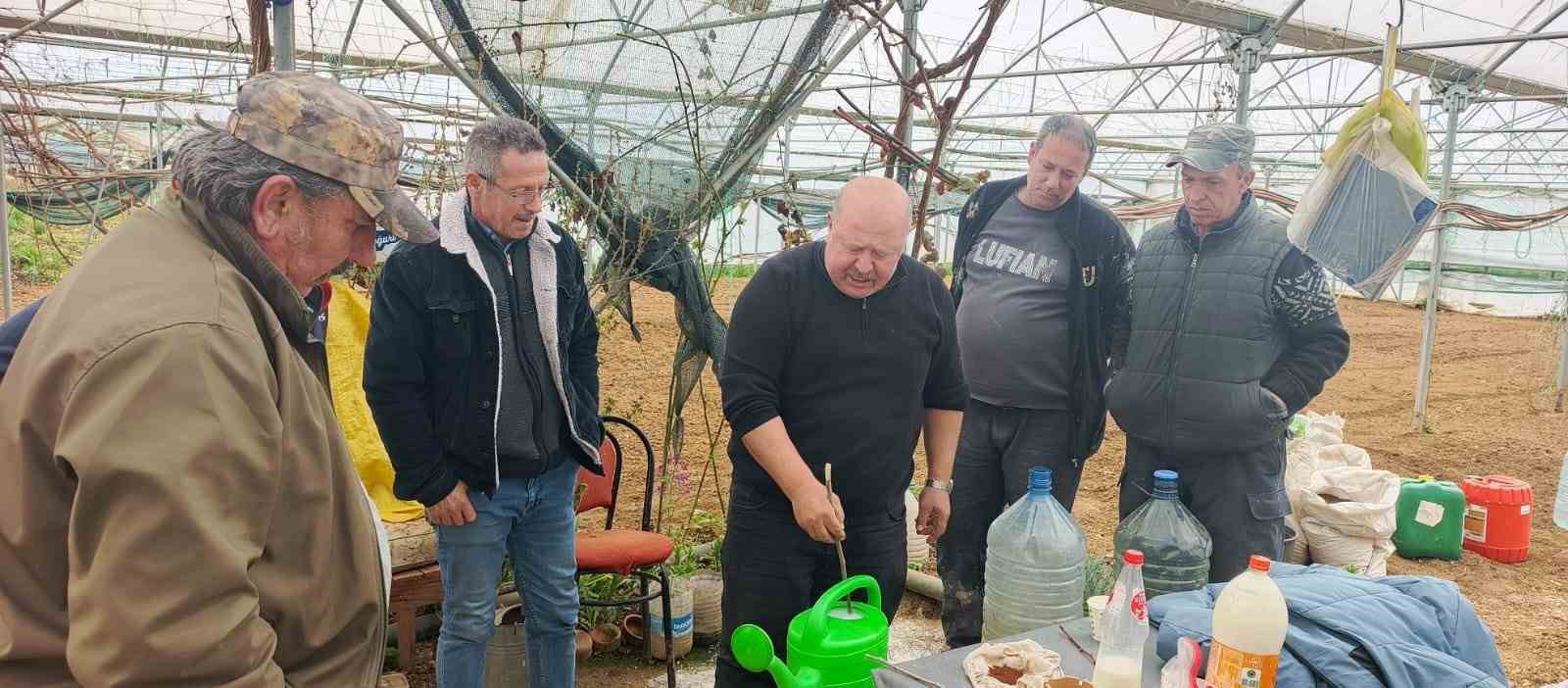 Tütün Pazaryeri’nin geçim kapısı oluyor
