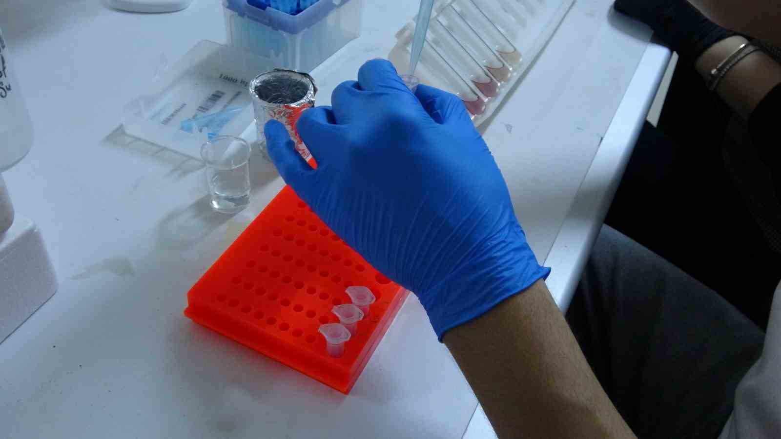 Tuz Gölü’nün dayanıklı bitkileri çorak toprakları yeniden canlandırmak için inceleniyor
