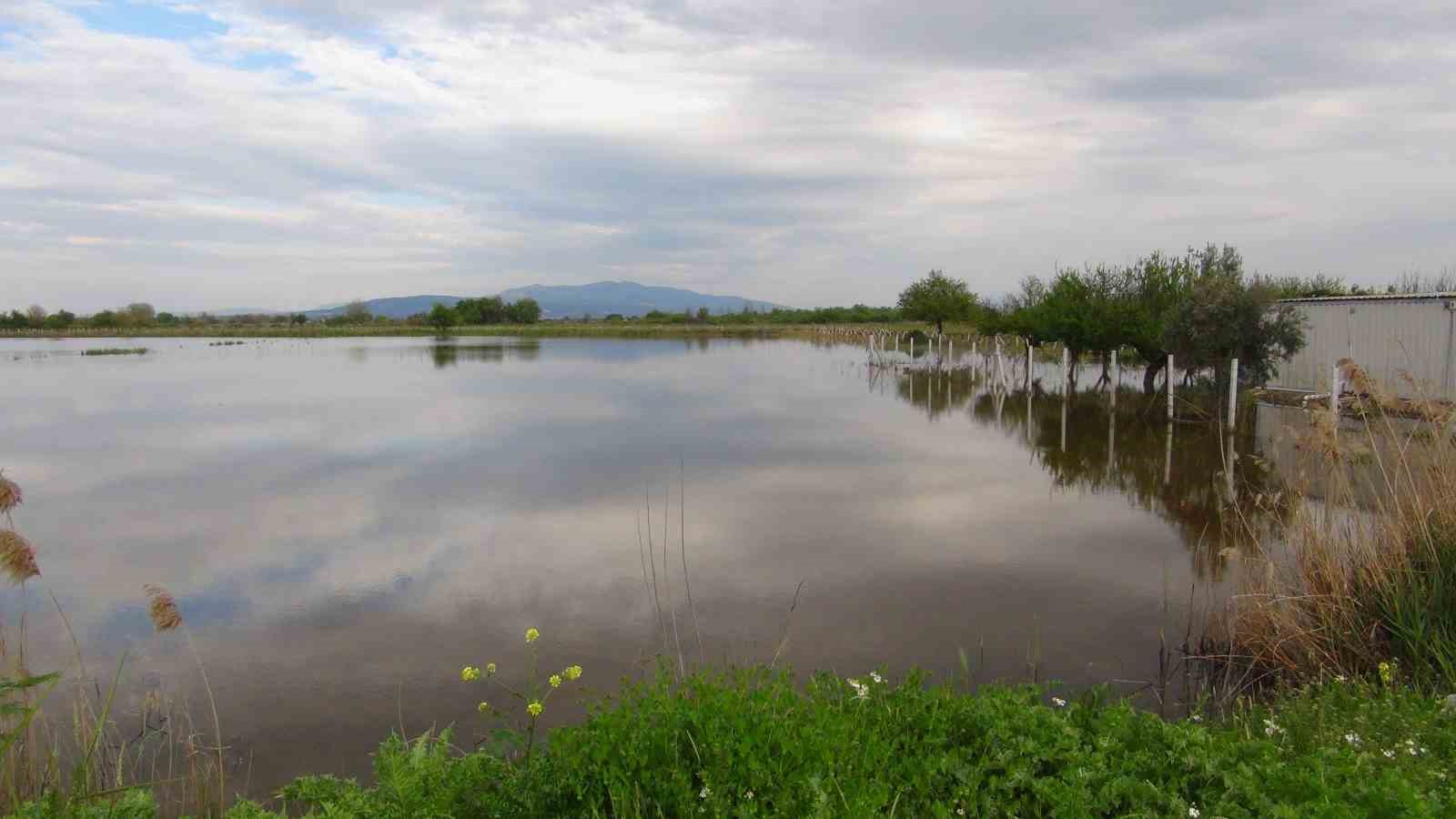 TZOB Genel Başkanı Bayraktar, Manisa’da su altında kalan tarım arazilerini inceledi, destek çağrısı yaptı
