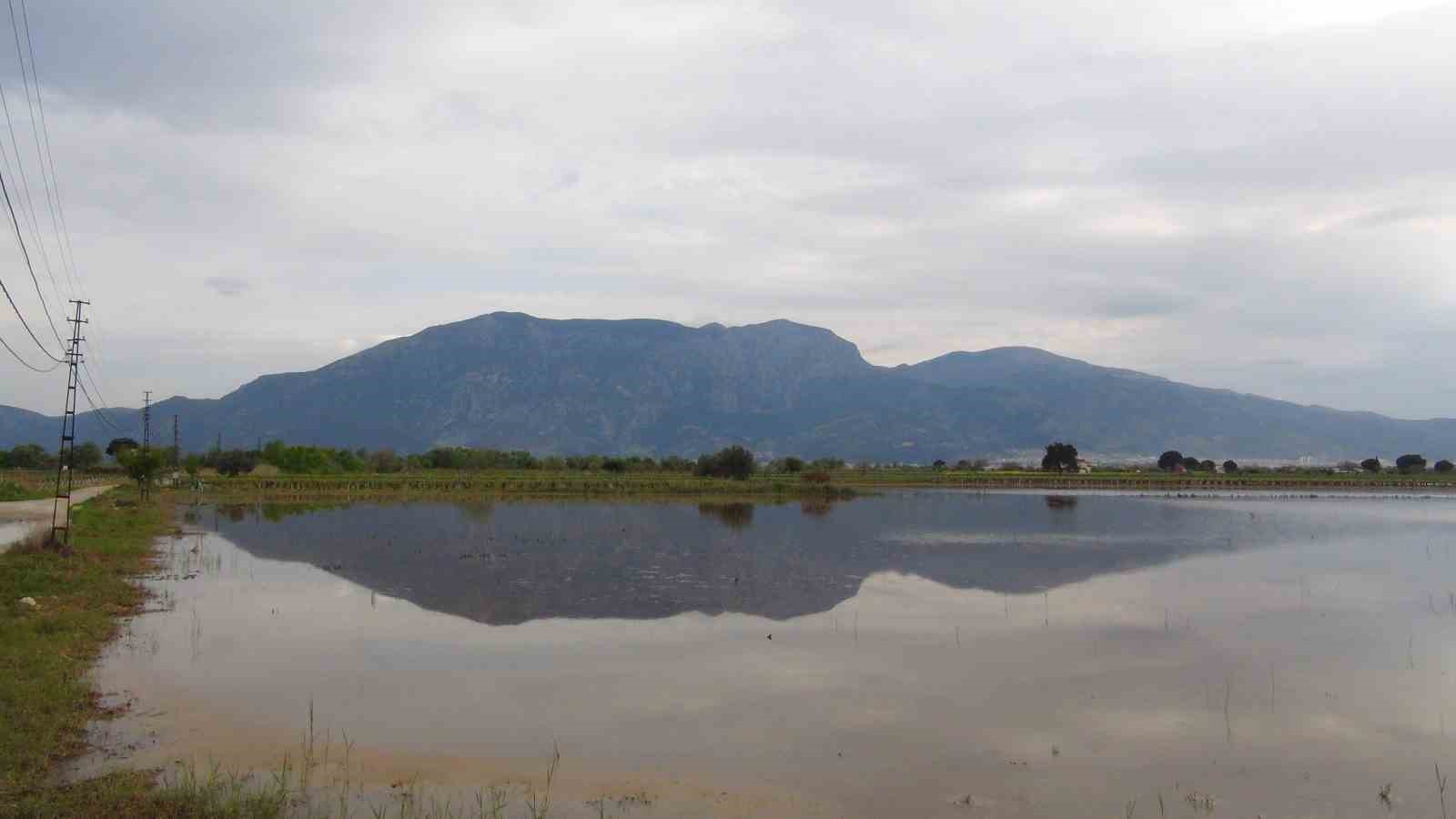 TZOB Genel Başkanı Bayraktar, Manisa’da su altında kalan tarım arazilerini inceledi, destek çağrısı yaptı

