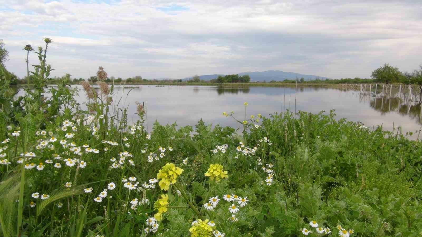 TZOB Genel Başkanı Bayraktar, Manisa’da su altında kalan tarım arazilerini inceledi, destek çağrısı yaptı
