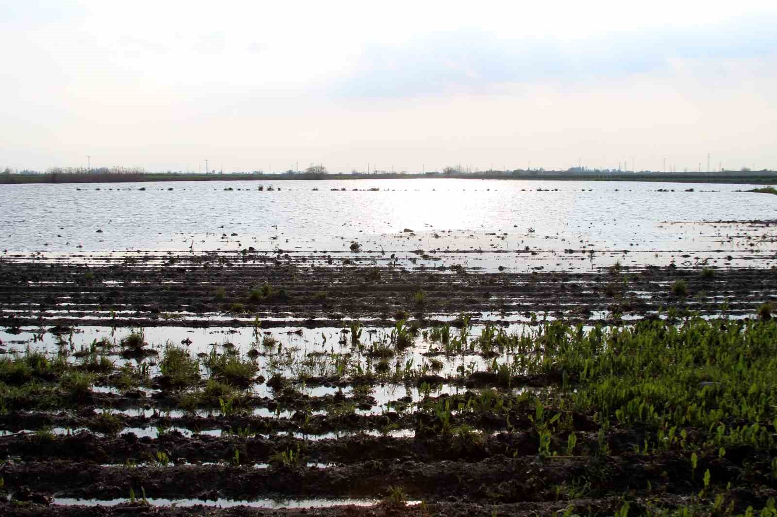 TZOB Genel Başkanı Bayraktar: "Üreticilerimize muhakkak nakdi yardım yapılması gerekiyor"
