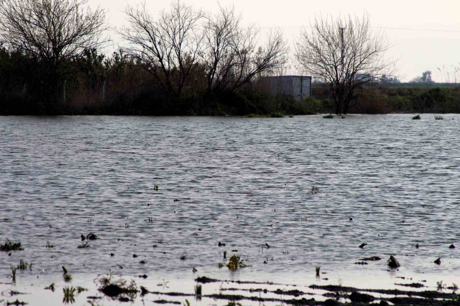 TZOB Genel Başkanı Bayraktar: "Üreticilerimize muhakkak nakdi yardım yapılması gerekiyor"
