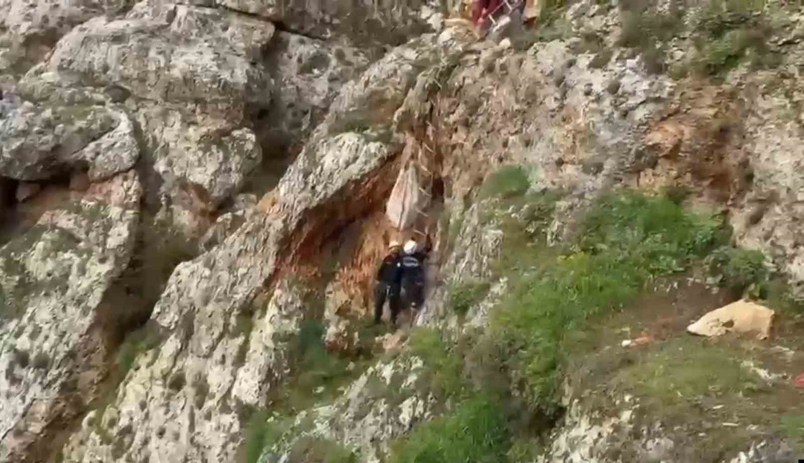Uçurumdan düşen köpek 4 saatlik çalışmayla kurtarıldı
