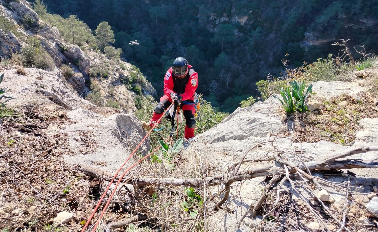Uçurumdan düşen kuzuyu ekipler kurtardı
