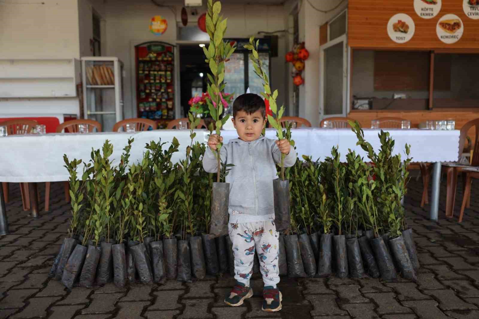 Ula’da üreticilere 38 bin defne fidanı dağıtıldı
