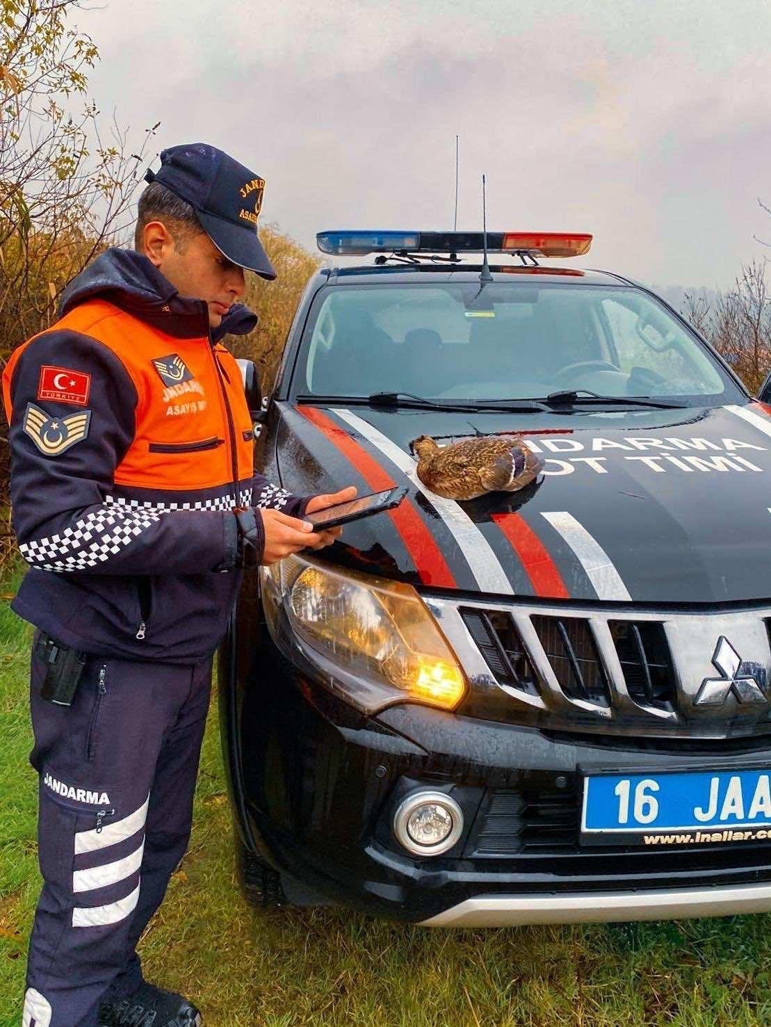 Uluabat Gölü’nde usulsüz avlananlara 431 bin TL ceza
