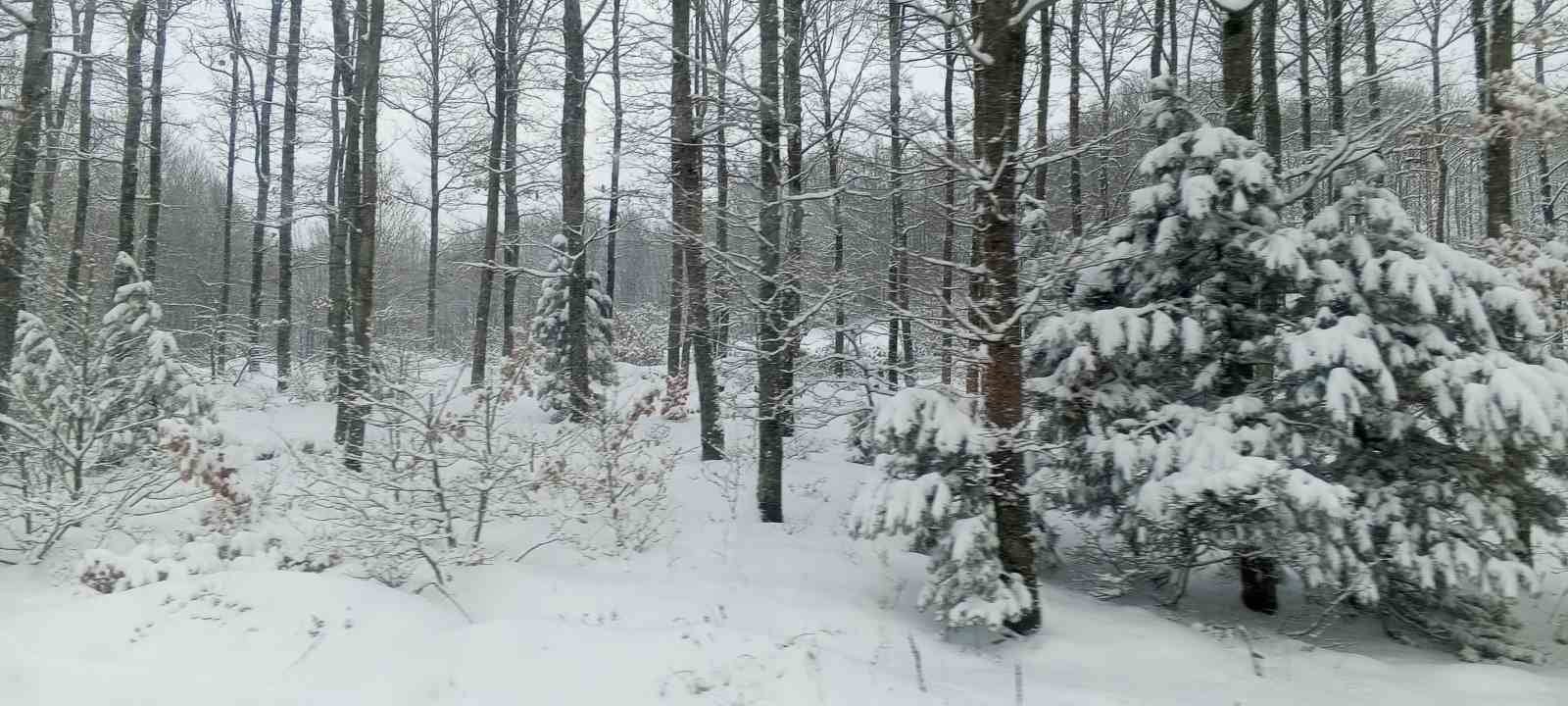 Uludağ kayak tutkunlarını bekliyor
