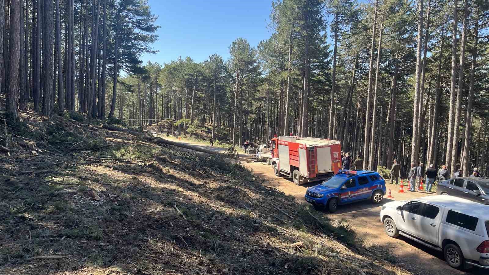 Uludağ’da inanılmaz olay...Kesilen ağaç seyir halindeki kamyonetin üzerine devrildi: 1 ölü

