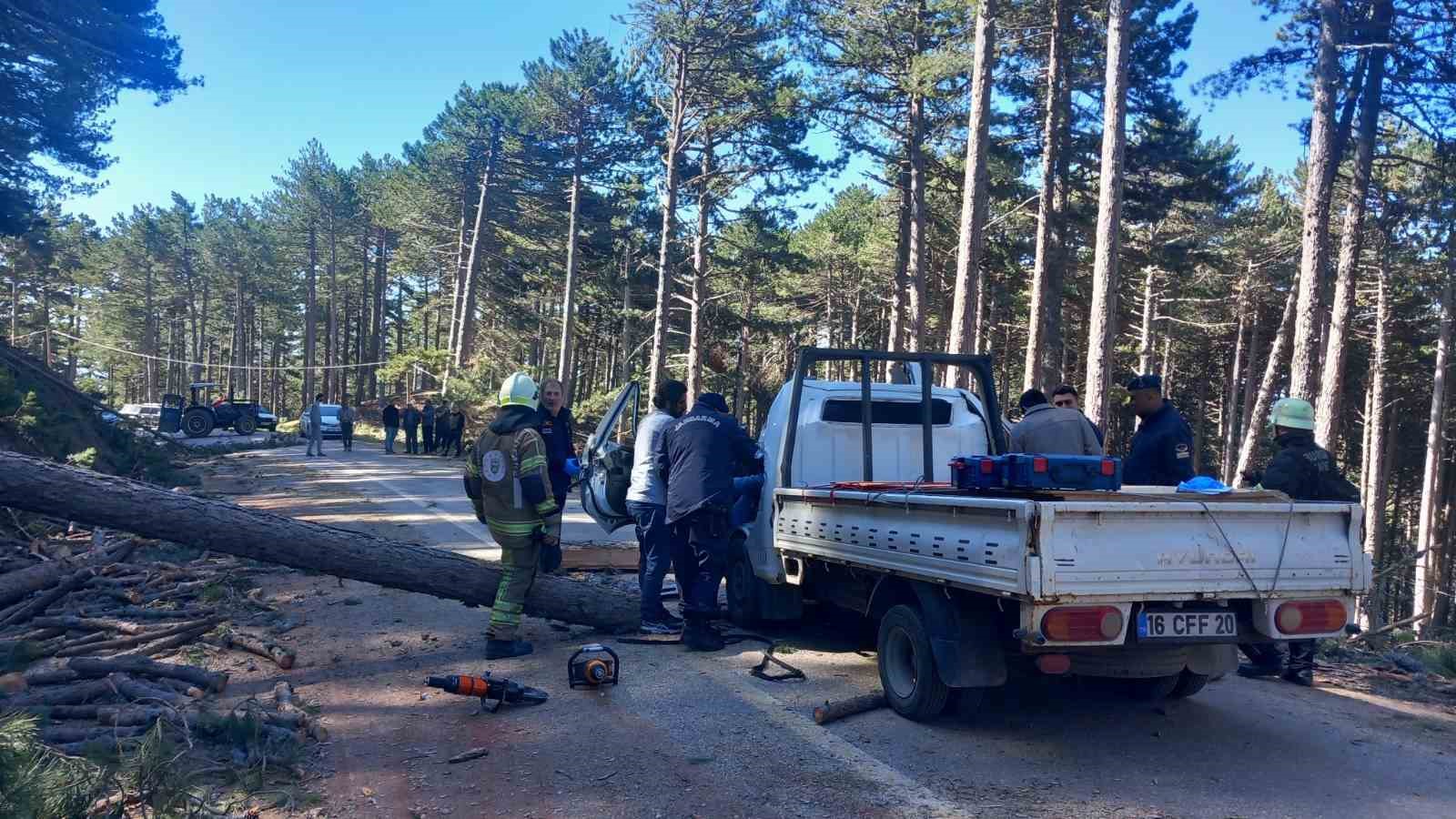 Uludağ’da inanılmaz olay...Kesilen ağaç seyir halindeki kamyonetin üzerine devrildi: 1 ölü
