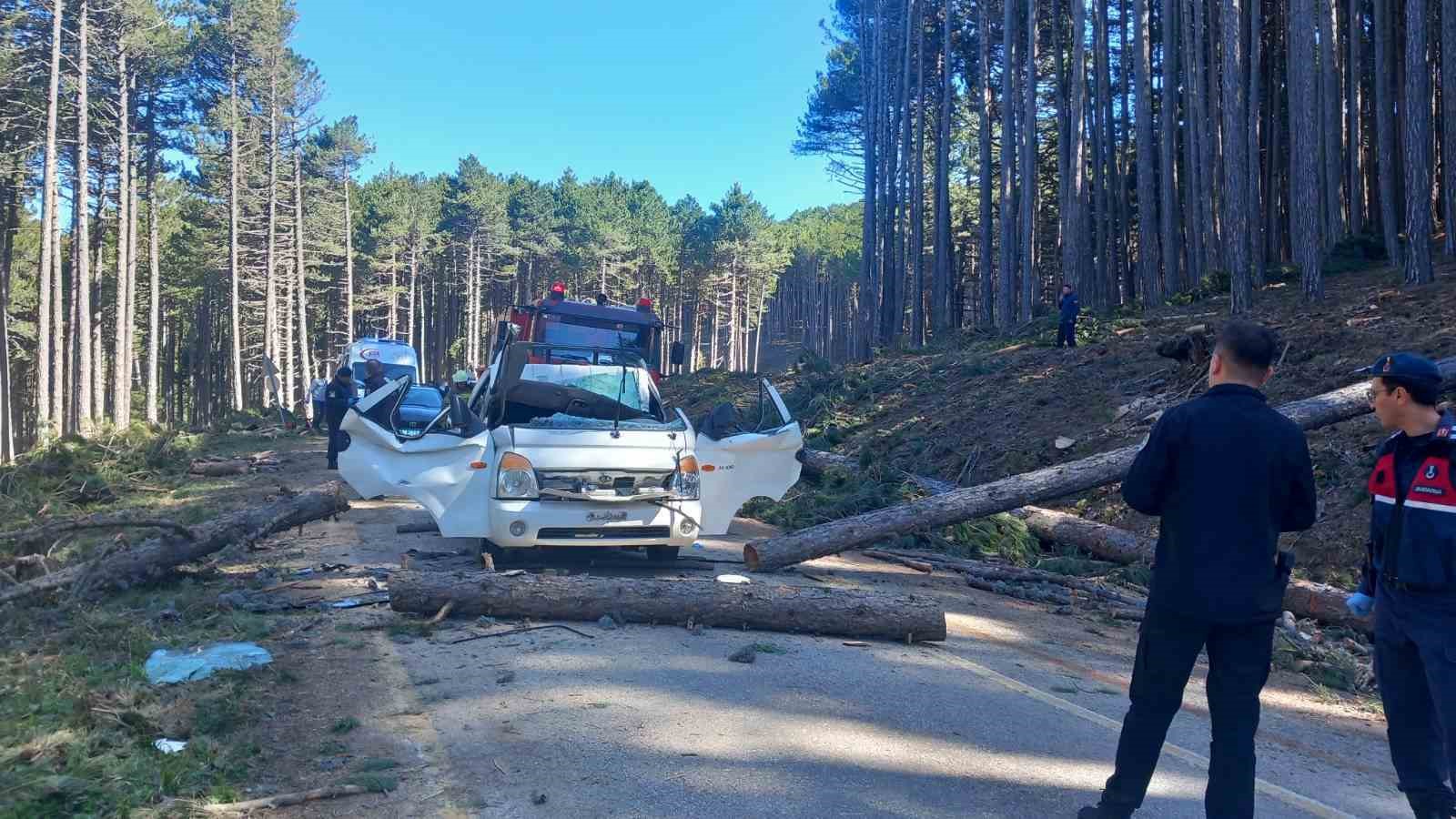 Uludağ’da inanılmaz olay...Kesilen ağaç seyir halindeki kamyonetin üzerine devrildi: 1 ölü
