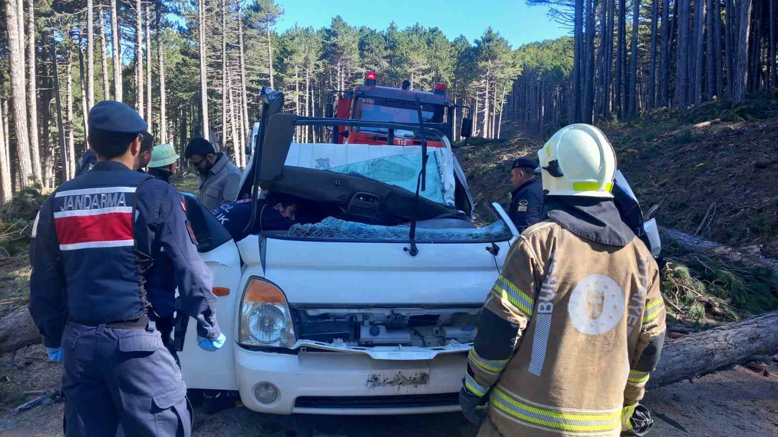 Uludağ’da inanılmaz olay...Kesilen ağaç seyir halindeki kamyonetin üzerine devrildi: 1 ölü
