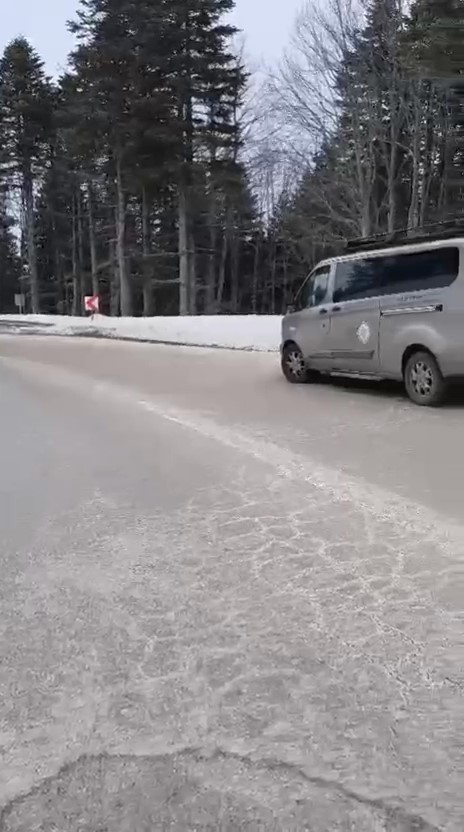 Uludağ’da tilkiye çarpan otomobil sürücüsü yaralı halde bırakıp kaçtı
